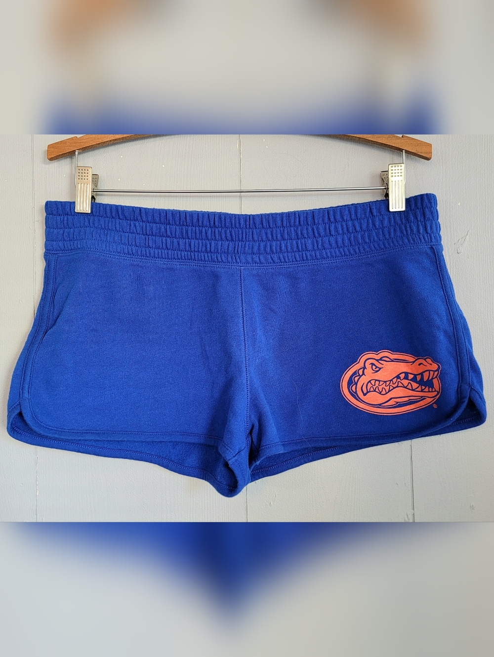 Pink Victoria's Secret Y2K Florida Gators  Athletic Shorts, Size M